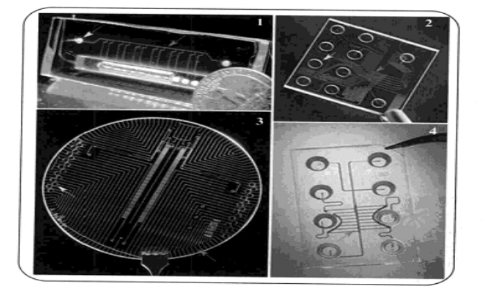 1463361407138213.png blob.png