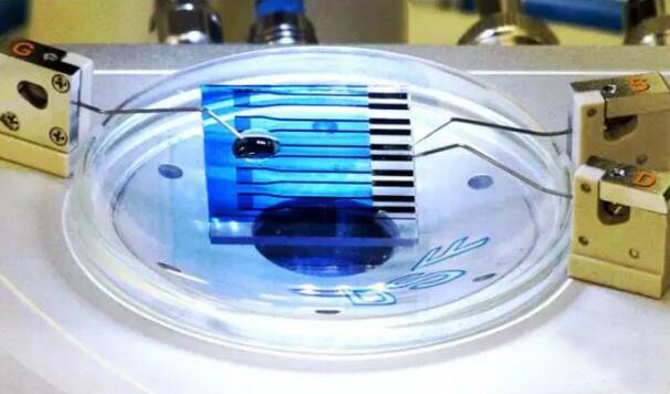 1464145713795829.jpg 20160525110507.jpg