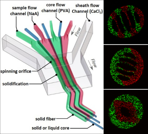 1464748696560144.jpg W020160531295354967590.jpg