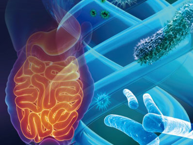 1464917281112300.png 2016060118064571.png