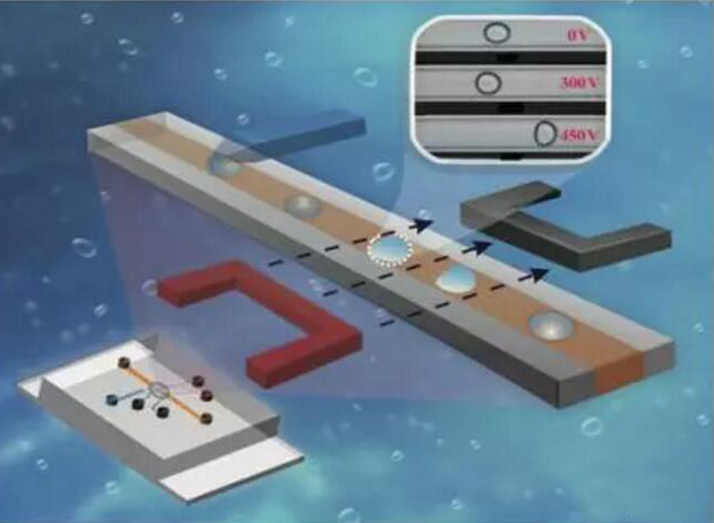 1465174545573355.jpg 606085310.jpg