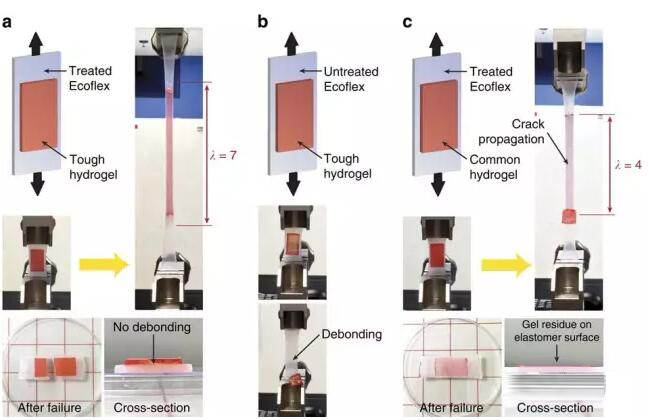 1467593595618151.jpg QQ截圖20160704085220.jpg