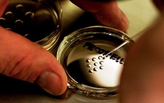  培養(yǎng)皿上的人類胚胎