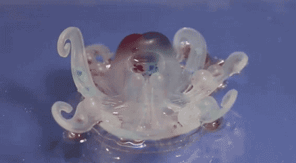 1472713982471241.gif 128678.gif