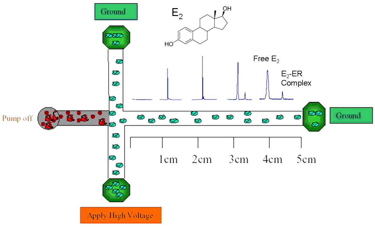 1473043275788385.jpg 1473043275788385.jpg
