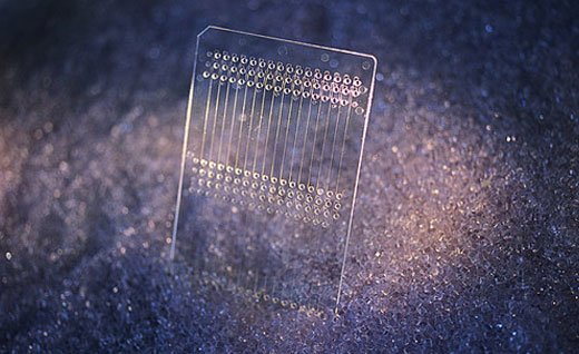 1473209871127374.jpg x_46.jpg