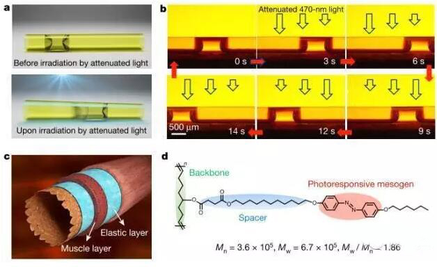 1473383768125855.jpg QQ截圖20160909090257.jpg