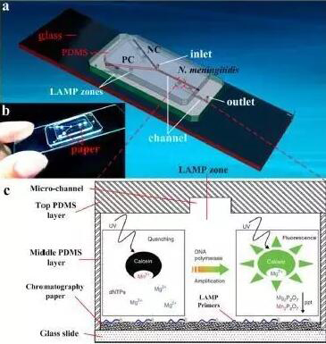 1474506603578820.jpg 20160922090039.jpg