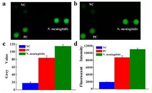 1474506638190630.jpg 20160922090115.jpg