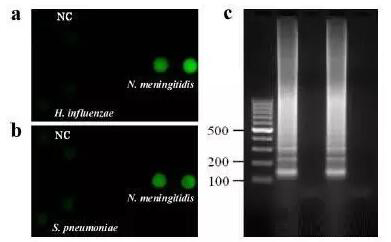 1474506662103022.jpg 20160922090131.jpg