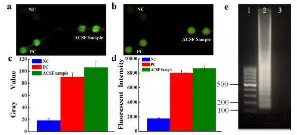 1474506681484968.jpg 20160922090147.jpg