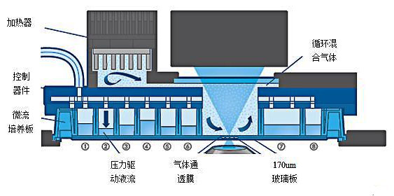 芯片實(shí)驗(yàn)室