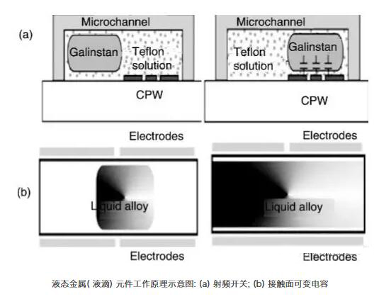 1479954985593408.jpg 1479954985593408.jpg