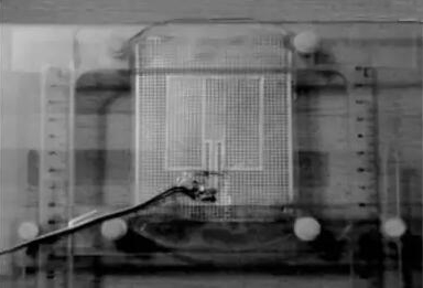 1479955019669230.jpg 20161124102825.jpg