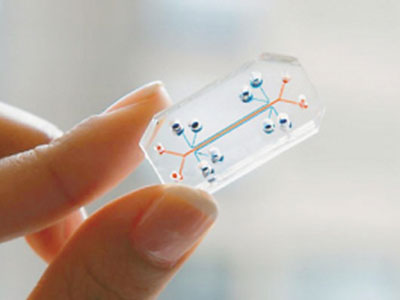 1480038019175612.jpg 20150810170449926.jpg