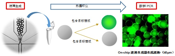 1480401546912661.jpg 2016729144151374.jpg