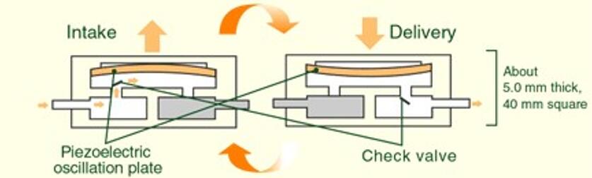 1482114166959608.jpg 1482114166959608.jpg