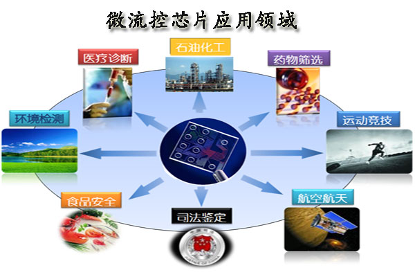 1482134366205390.jpg 微流控芯片