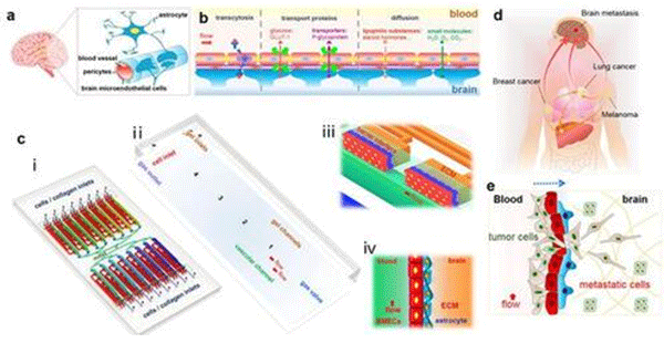 1482743976883098.png 微流控