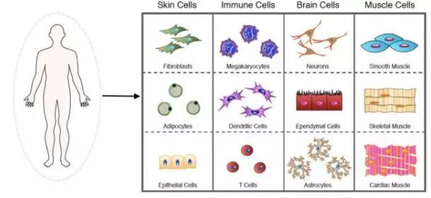 1482916374410609.jpg 20161228171041.jpg