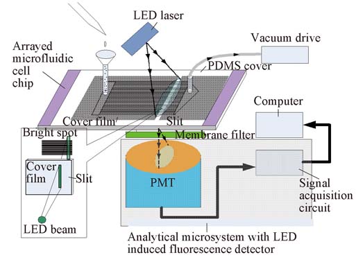 1483002853103693.jpg 20120116113629.jpg