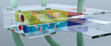 1483002981364909.jpg 20161229171541.jpg