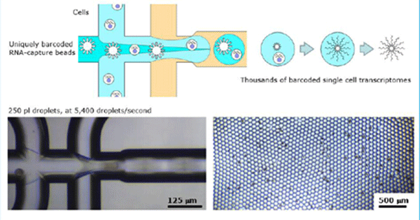 1483605047130812.png 微流控