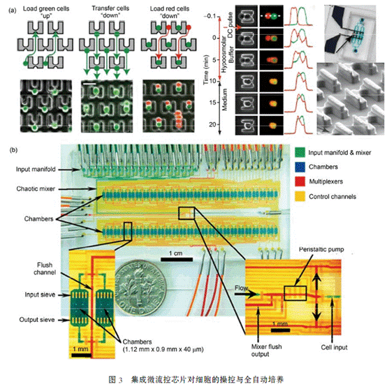 1485050177428037.gif QQ截圖20170122092515.png