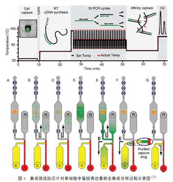 1485050188451360.gif QQ截圖20170122092633.png