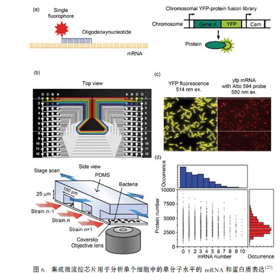 1485050214774658.gif QQ截圖20170122092704.png