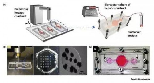 1487123319960727.jpg 3d.jpg