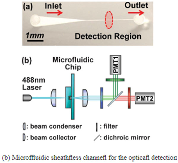 1489468652202980.jpg 微流控技術(shù)