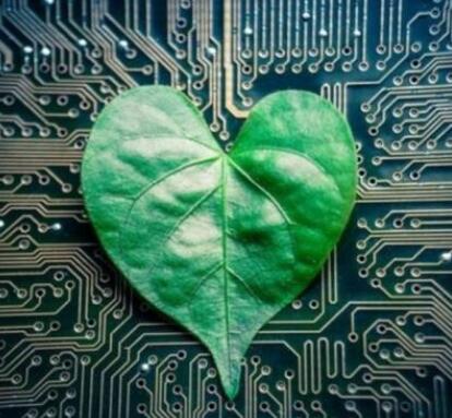 1490147211940201.jpg 20170321101423702.jpg