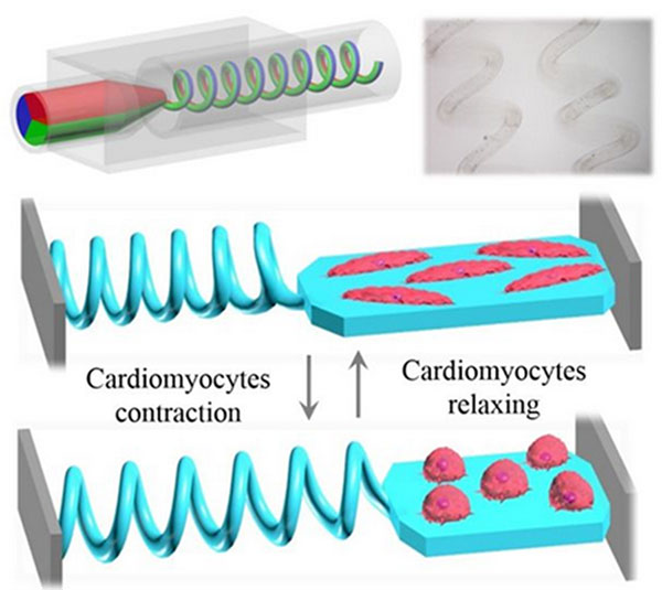 1490578599103465.jpg 微流控技術(shù)