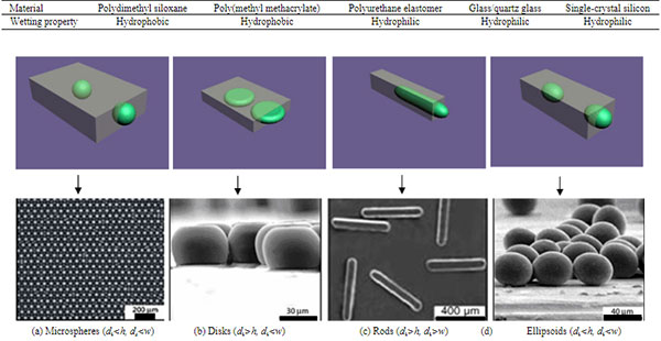 1500015286714413.jpg 微流控