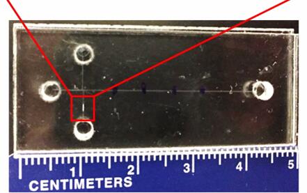能夠預(yù)測早產(chǎn)風(fēng)險(xiǎn)的微流控芯片