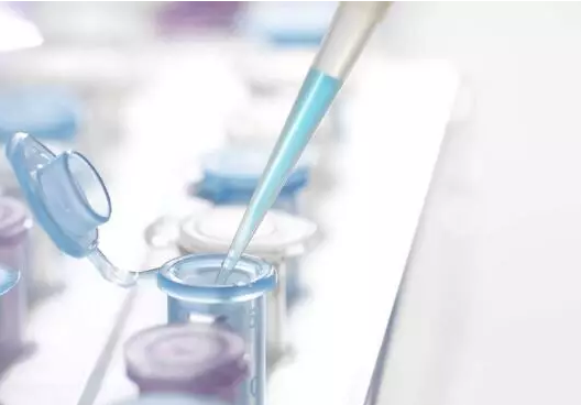 DNA檢測(cè)技術(shù)