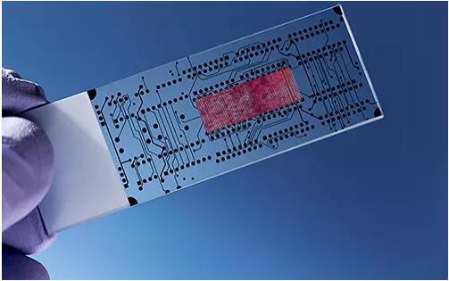 微流控技術(shù)在生物醫(yī)學(xué)領(lǐng)域的應(yīng)用 微流控技術(shù)在生物醫(yī)學(xué)領(lǐng)域的應(yīng)用