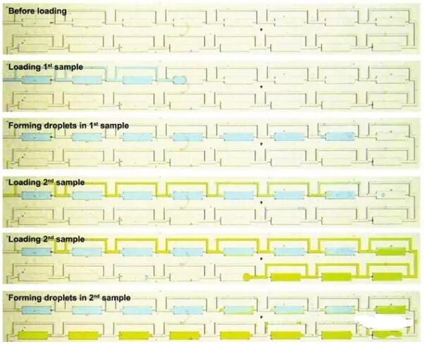 精準癌癥治療新突破，24小時出癌細胞藥敏結(jié)果