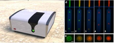 在線芯片生物大分子熒光毛細(xì)管電泳與PCR檢測(cè)聯(lián)用