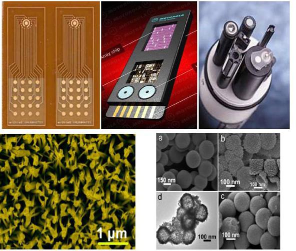 生物傳感器與生物芯片 生物傳感器與生物芯片