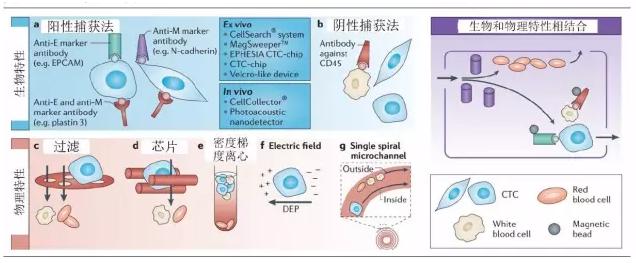 CTC的富集方法 CTC的富集方法