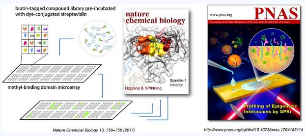 表觀遺傳研究的新蛋白微陣列技術 表觀遺傳研究的新蛋白微陣列技術