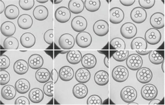 汶顥股份微流控液滴技術(shù) 汶顥股份微流控液滴技術(shù)