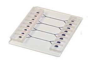 汶顥微流控芯片流體的驅(qū)動和控制 汶顥微流控芯片流體的驅(qū)動和控制