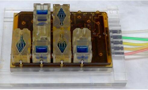 EVATAR是一款口袋大小的女性生殖系統(tǒng)模型，血樣流體（藍色）將流經(jīng)含有微型器官的孔