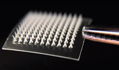 納米顆粒微針貼片 納米顆粒微針貼片