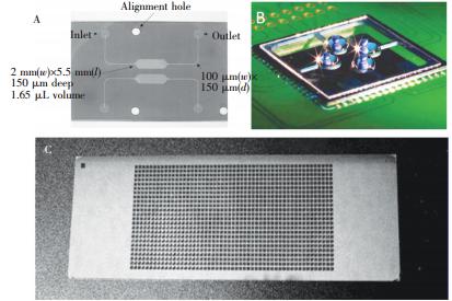  微池型 PCR芯片: (A) 單反應(yīng)池 PCR芯片，(B) 液滴虛擬微池 PCR芯片， (C) 微池陣列 PCR芯片