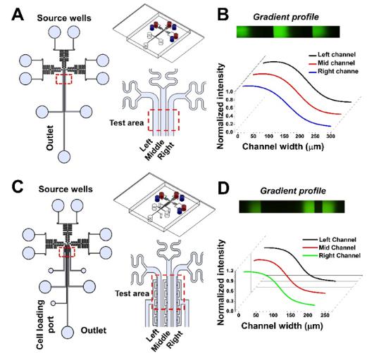 基于微流控芯片的慢性腎病生物標志物FGF23 