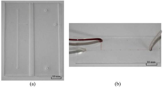 二氧化碳激光器加工完成的微流控芯片（PMMA材質(zhì)，液滴產(chǎn)生器）